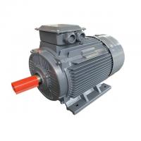 China 10HP 15HP 20HP 30HP 3ph Induction Motor 30KW 37KW 45KW 1450RPM 2900RPM factory