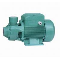 China Brass Impeller Domestic Water Booster Pump , 1.5HP Irrigation Water Pump factory