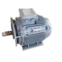 Quality 1000kw 200rpm Permanent Magnet Generator Alternator For Hydro Generation for sale