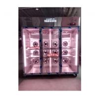 China Timer Freeze Thaw Chamber Cabinet with Automatic Defrosting Method factory