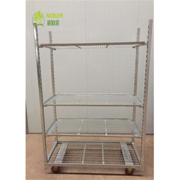 Quality Flower Trolleys Cart CC Container Welding Mesh Plant Nursery Cart for sale