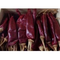 Quality Medium Hot Dried Guajillo Chili 12% Moisture Red Chile Peppers 10000SHU for sale