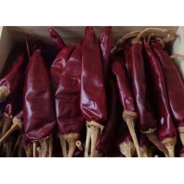 Quality Medium Hot Dried Guajillo Chili 12% Moisture Red Chile Peppers 10000SHU for sale