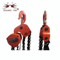 Quality Big Capacity Hoist Lifting Devices Equipment Economical Slim Shape for sale