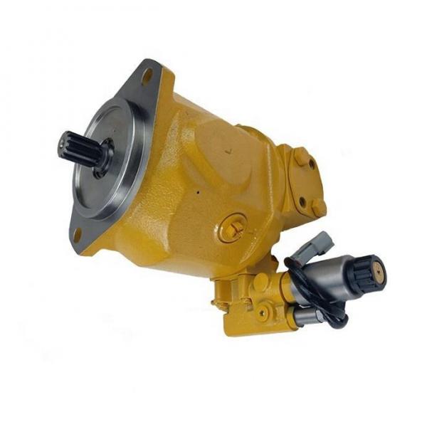 Quality Excavator Cooling Hydraulic Fan Pump 1709918 155-9222 155-9206 for sale
