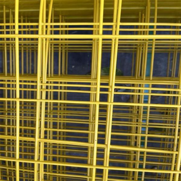 Quality Customizable 1X2 Black PVC Welded Wire Mesh Panels For Birds Cage for sale