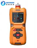 China Mobile Portable Multi Gas Detector Methane Gas Monitor IP67 With Free Calibration Service factory