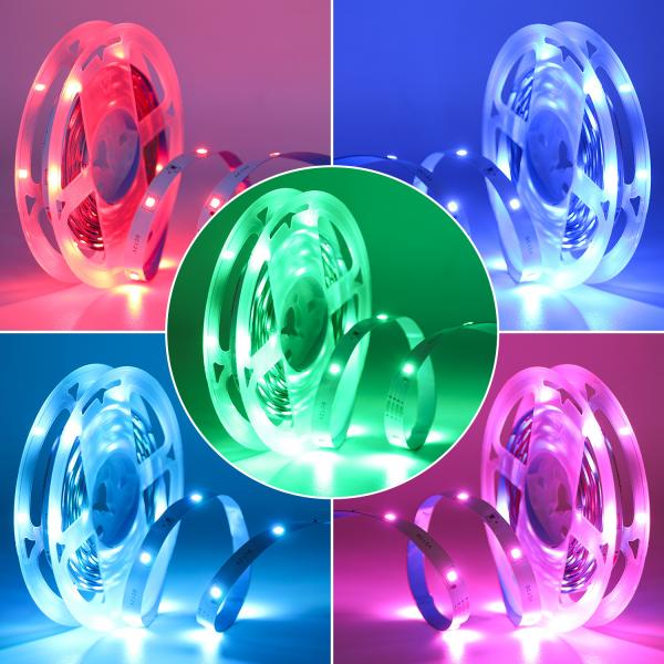 Quality APP Control 12V Colour Changing LED Lights SMD 3535 IP20 IP65 Waterproof for sale