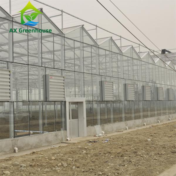 Quality Custom Clear White Horticultural Glass Greenhouses For Cold Climates for sale