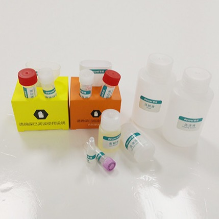 Quality Hospital Genomic DNA RNA Extraction Kit Saliva Collection Preservation Kit for sale