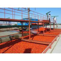 Quality Commercial 380V Tomato Processing Line / Tomato Puree Processing Plant for sale