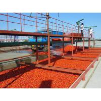 Quality Commercial 380V Tomato Processing Line / Tomato Puree Processing Plant for sale