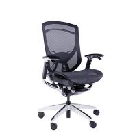 China High Back Adjustable Headrest Tilt Tension PU Wheels Ergo Office Chair factory