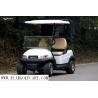China High End 2 Seater Golf Cart , Electric Powered Golf Carts With Rear Cover factory