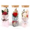 China Clear Durable Wishing Mini Rose Bottles Perfect Gift For Valentines Day factory