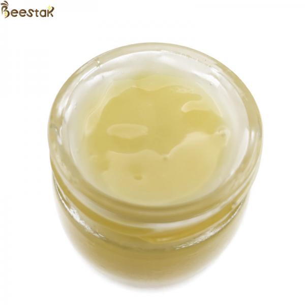 Quality Bee Product 20kgs Organic Fresh Royal Jelly Pure Fresh Queen Food for sale
