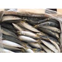 Quality BQF 60g 70g Whole Round High Protein Pacific Fresh Frozen Mackerel for sale