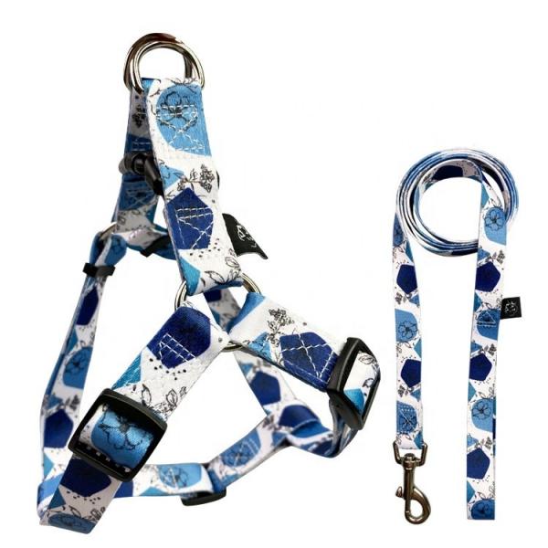 Quality Nylon Fashion Dog Harness Leash Collar Set Custom Pattern Line Style for sale