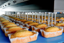 Quality PLC Castella Cake Production Line for sale