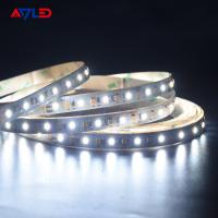 China Dynamic Tunable White LED Strip Light 12V Waterproof factory