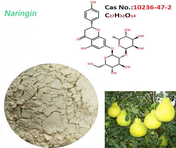Quality Food Grade Naringin Extract Light Yellow Powder MW 580.53 As Bittering Agent for sale