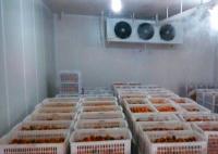 China Onion / Tomato Cold Storage Room Customized Size With Condensing Unit factory