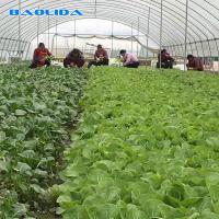 China Agriculture Plastic Film Covered Single Tunnel Greenhouse For Tropical Climate for sale