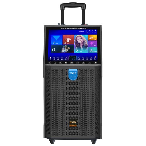 Quality TF BT USB Karaoke Video Machine Speaker 30W With Touch Monitor for sale