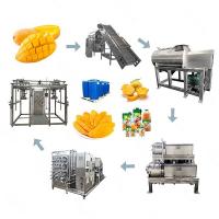 China 500T/D Industrial Mango Processing Line Turnkey Service SUS304 / 316L factory