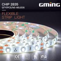 China Foldable SMD 3528 LED Strip Light 60 Leds M DC 24V LED Decoration Rope Lamp factory