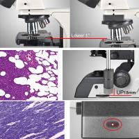 China Led Semi Auto Trinocular Stereo Microscope For Research Scientific Laboratory A12.1093-L factory