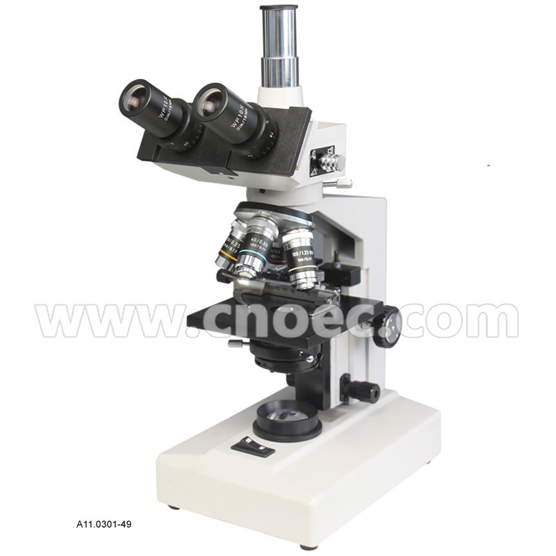 China Monocular Student Biological Microscope Monocular Microscopes A11.0301 factory