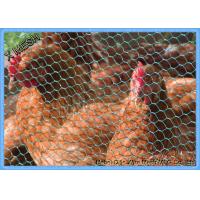 Quality PVC Coated Heavy Duty Chicken Wire Stainless Steel Netting Mesh For Farms for sale