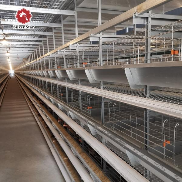 Quality H Type Automatic Layer Cage System , 450cm2/Bird Q235 4 Tier Chicken Cage for sale