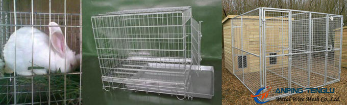 Stainless Steel Welded Wire Mesh Used as Cages for Birds and Mammals.