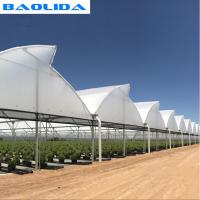 China High Multi Span Strong Plastic Greenhouse Saw Tooth Roof Ventilation factory