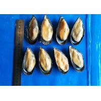 China Iso Frozen Cooked Mussel Half Shell Mytilus Edulis Chemical Off factory