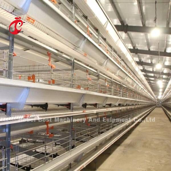 Quality Full Automatic Battery Cage Price In Nigeria H type layer  Mia for sale