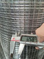 China 0.8 mm Galvanized Welded Wire Mesh Rolls For Agriculture Protection factory