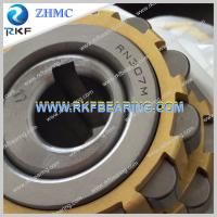 China RN307M High Quality Double Row Eccentric Roller Bearing With Brass Gage factory