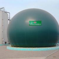 China Green Membrane Gas Holder PES PVC Floating Gas Holder Biogas Plant factory