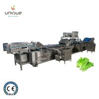 China Stainless Steel 304 Onion and Parsley Leaf Vegetable Washing Machine with Performance factory