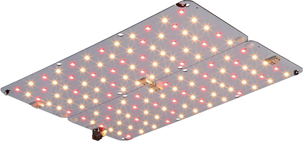 Quality High Output 80W LED Panel Customized Spectrum Indoor Horticulture Seedling Lighting Full Spectrum Clone Grow Light for sale