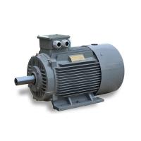 Quality High Power PMSM Electric Motor for sale