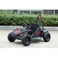 China 35km/H Two Person Go Kart Buggy , 1000w Kids Off Road Go Kart EPA Approved factory