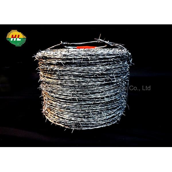 Quality High Tensile Strength Hot-Dipped Galvanized Barbed Wire For Airport Prison Security Fence for sale