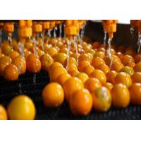 Quality Food Industry NFC Citrus Processing Line 220v Water Saving Long Service Life for sale