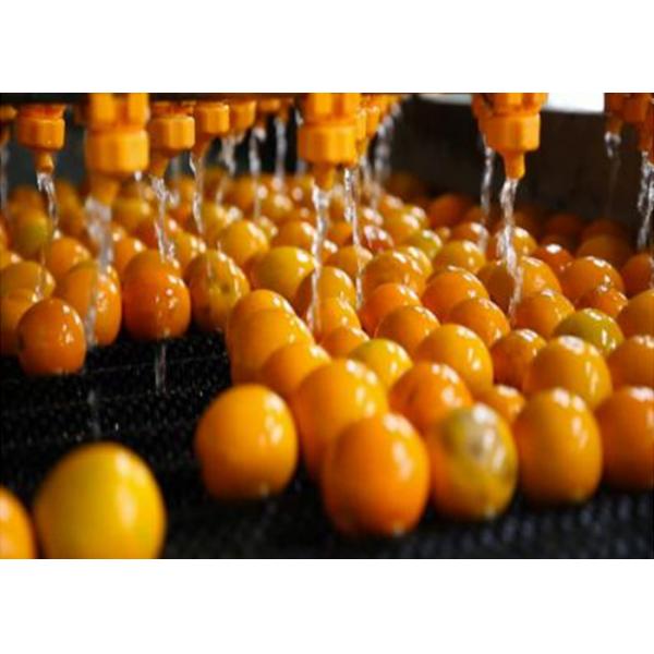 Quality Food  Industry NFC Citrus Processing Line 220v Water Saving Long Service Life for sale