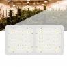 China High Efficiency Agriculture Led Lights ,Cannabis Growing Led Lights Low Heat factory