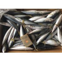 China Scomber Japonicus 9PCS 10PCS Per Kg High Protein Mackerel Frozen Sea Fish factory